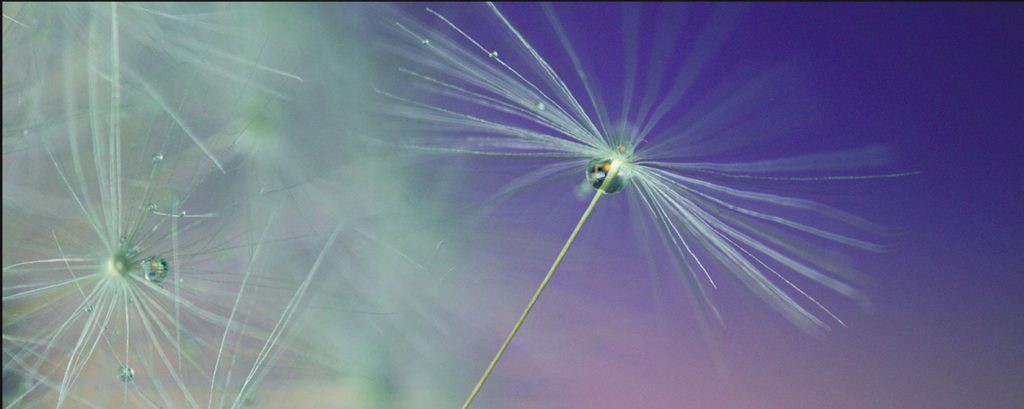 10 Wochen Intensivkurs+ – Achtsamkeitsbasierte Stressbewältigung und eine gesündere Lebensführung